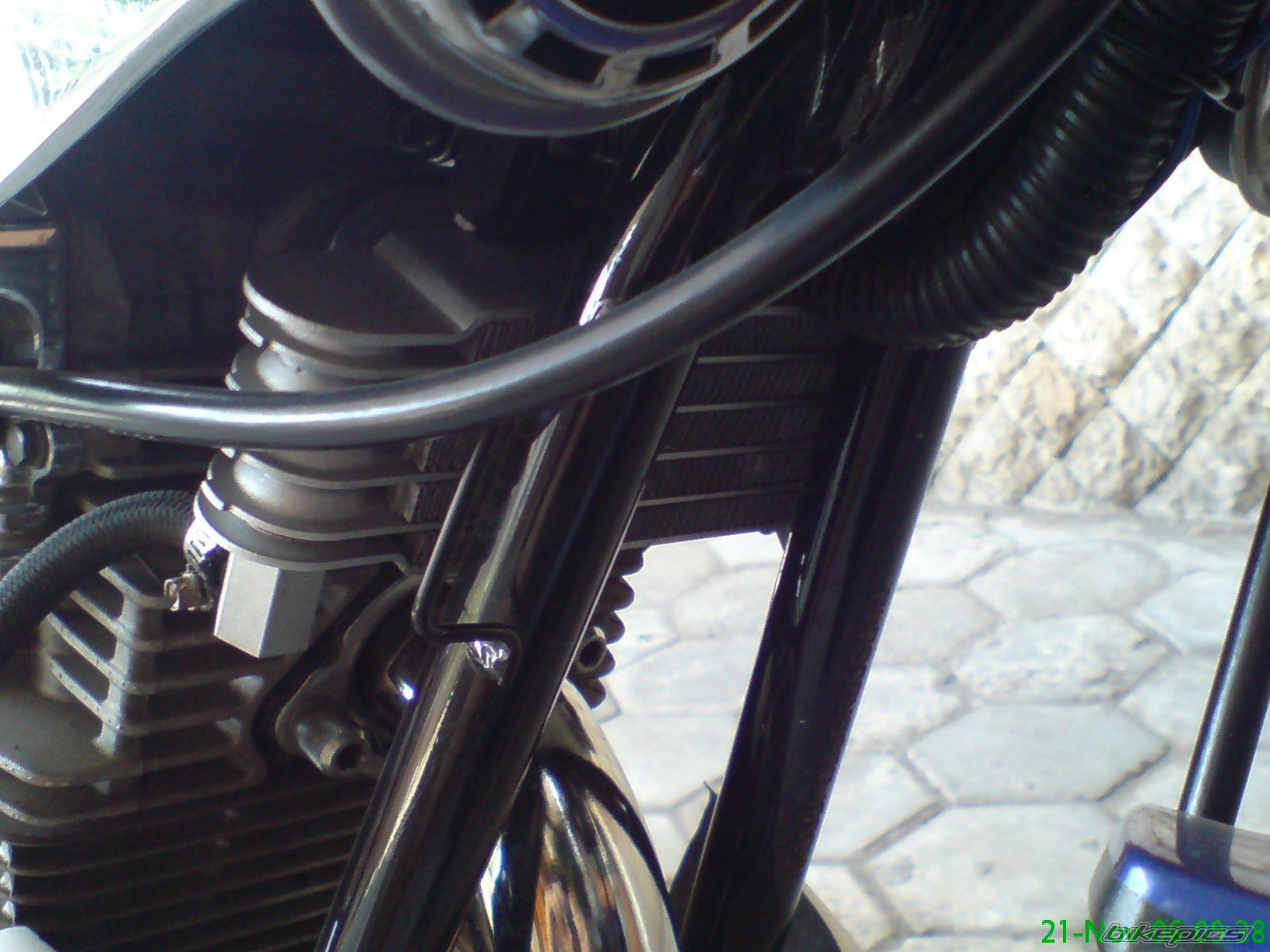 Photo 729832