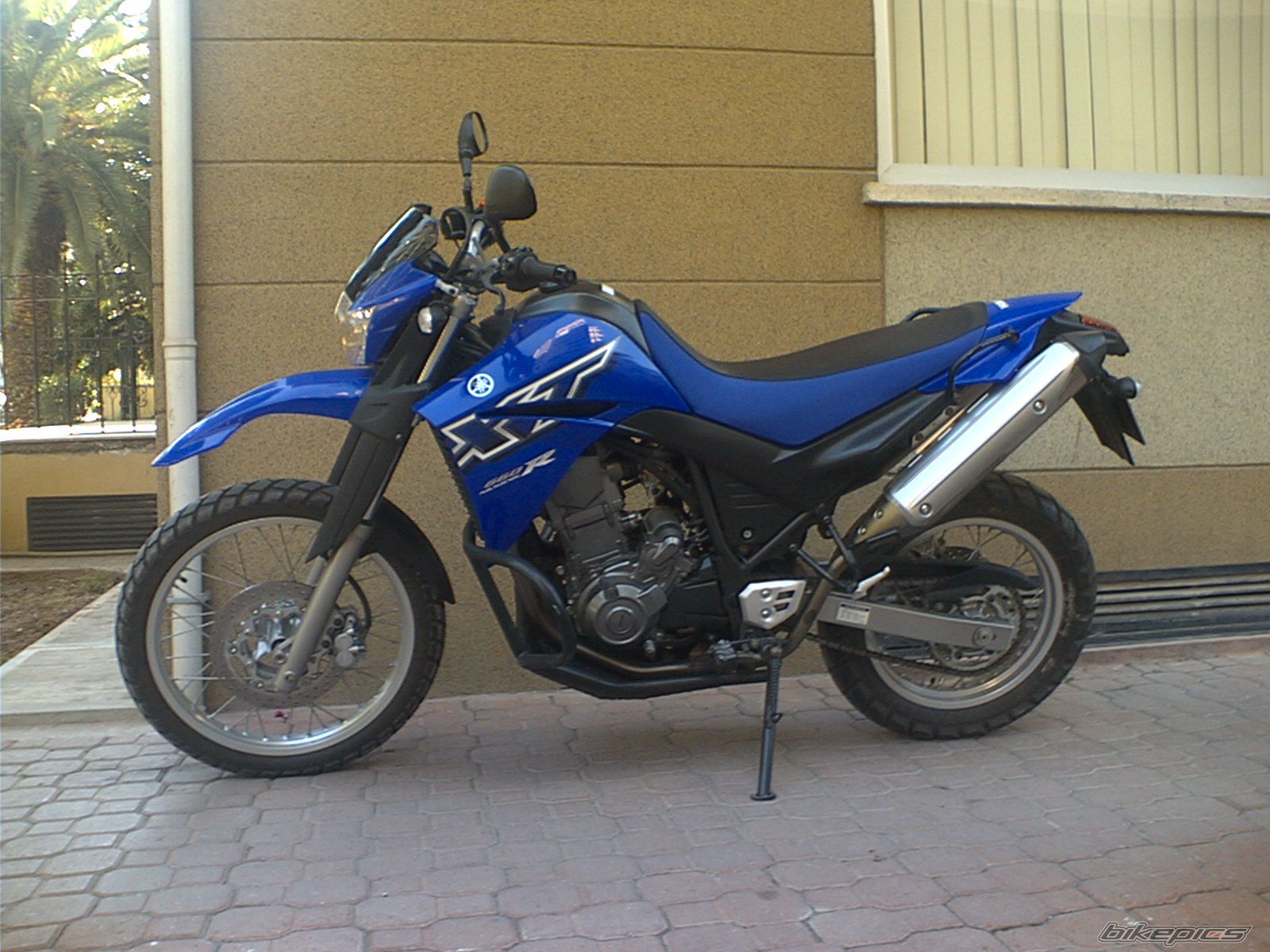 Photo 730038