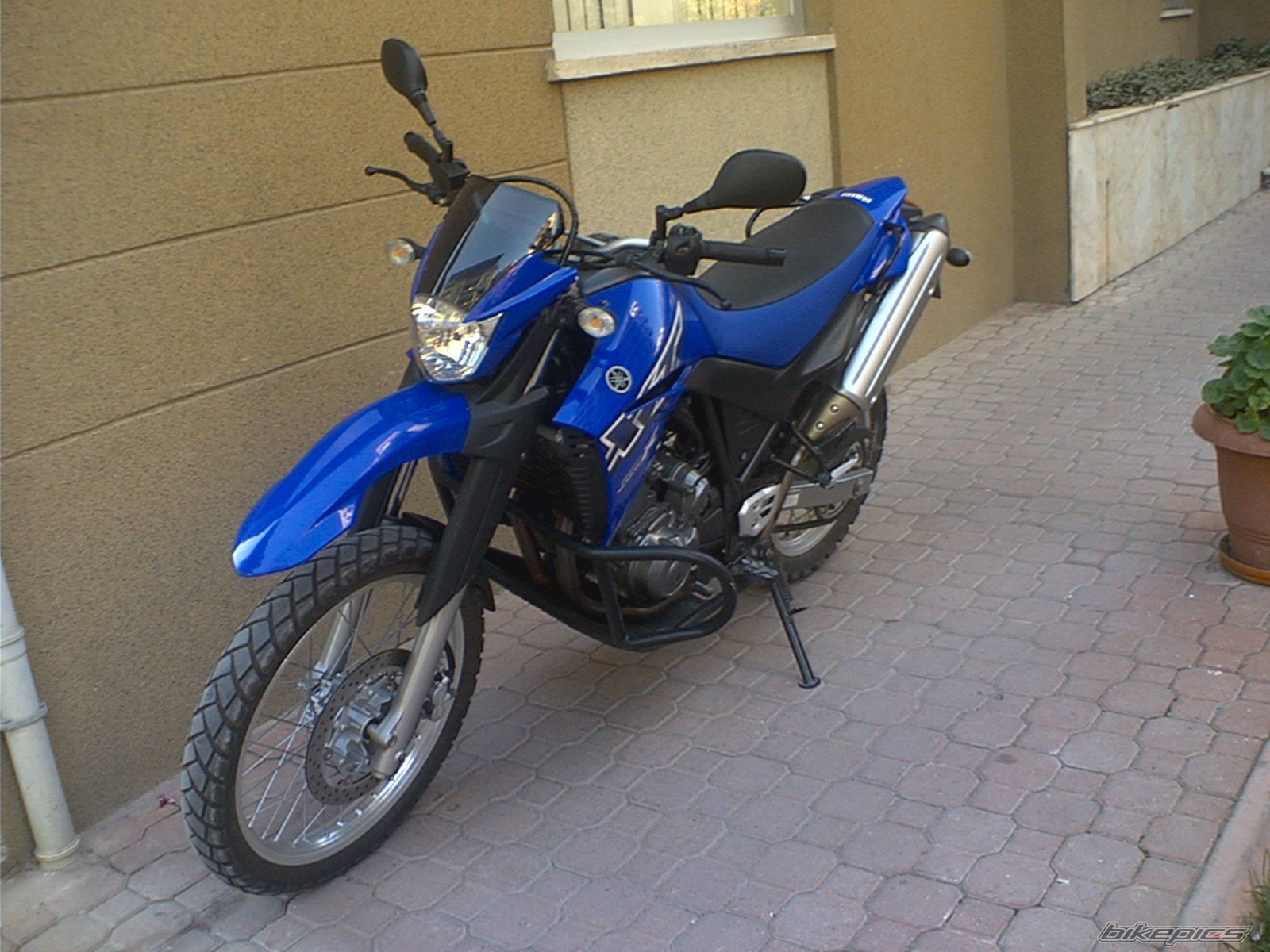 Photo 730039