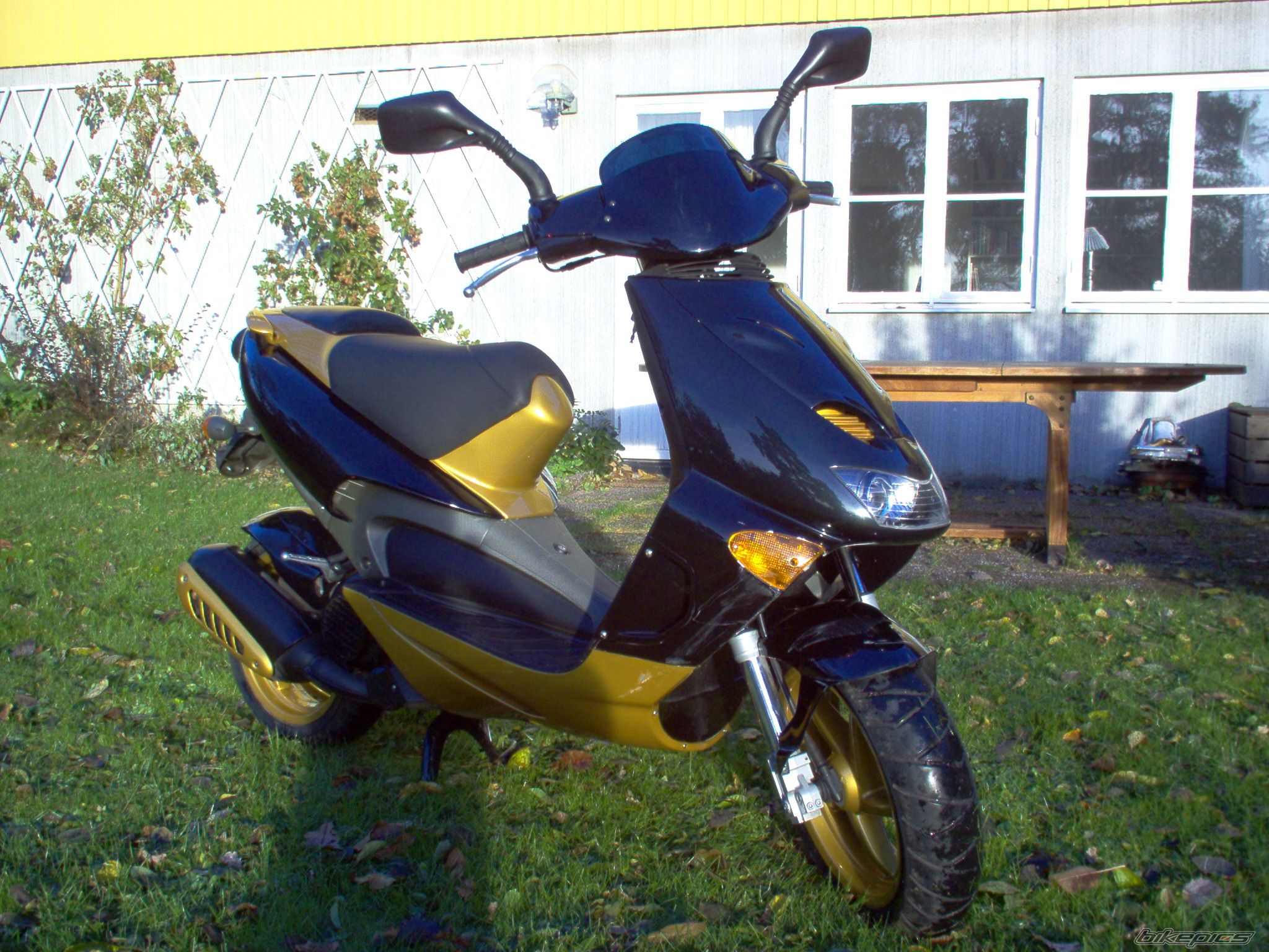 Photo 730339