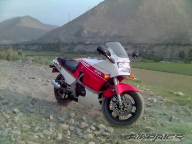 Photo 730438
