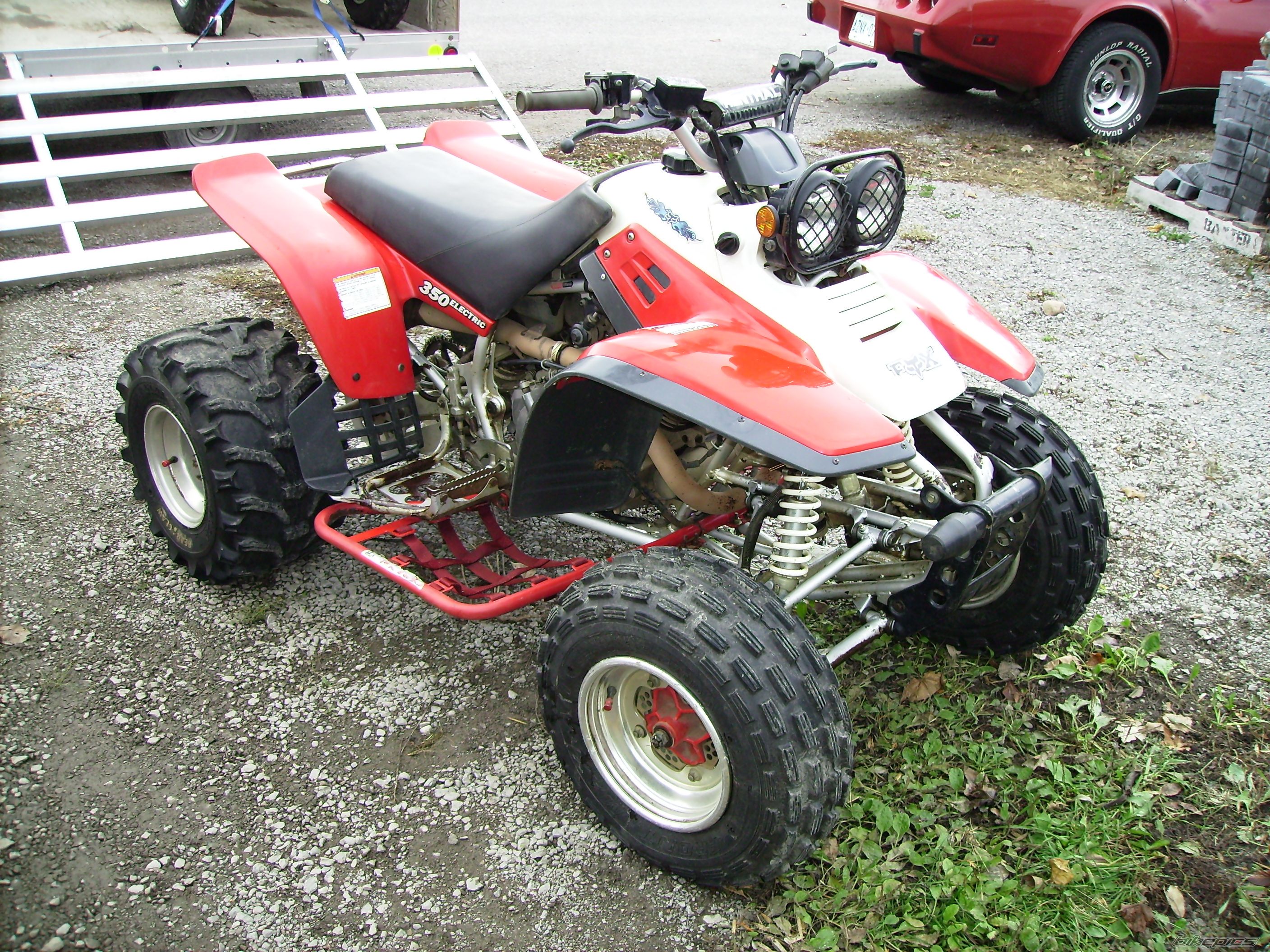 Photo 730491
