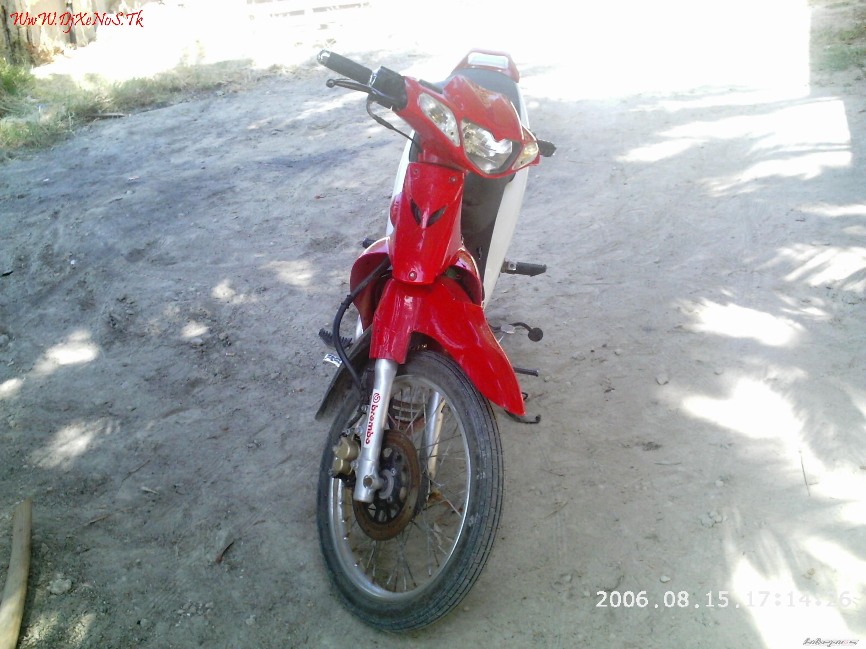 Photo 730512