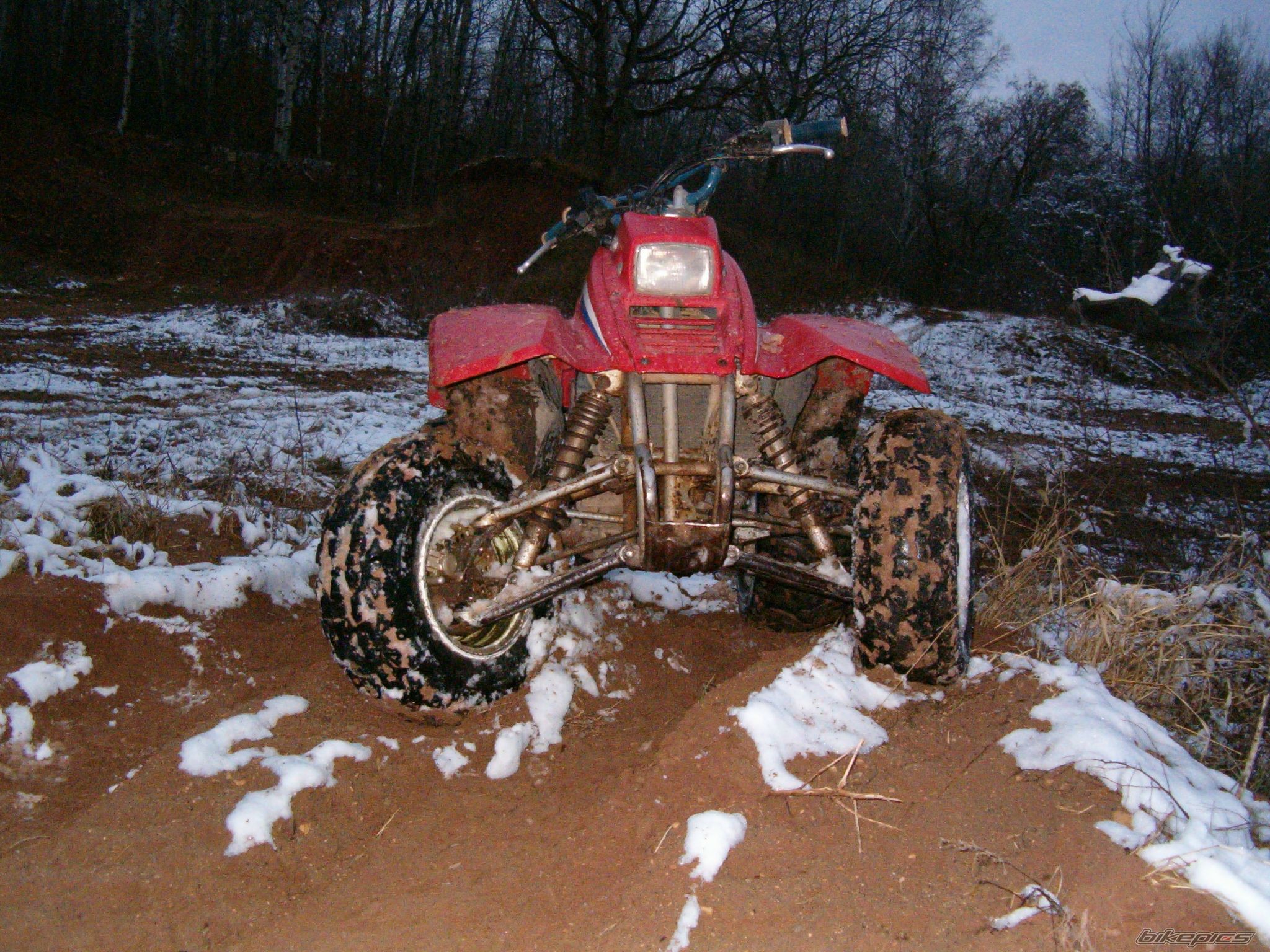 Photo 730592