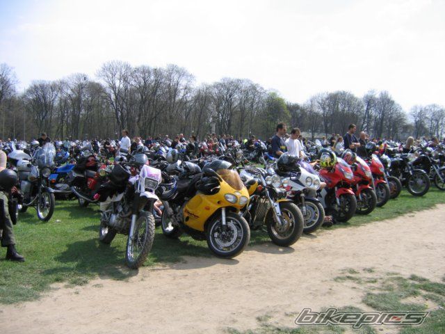 Photo 730727