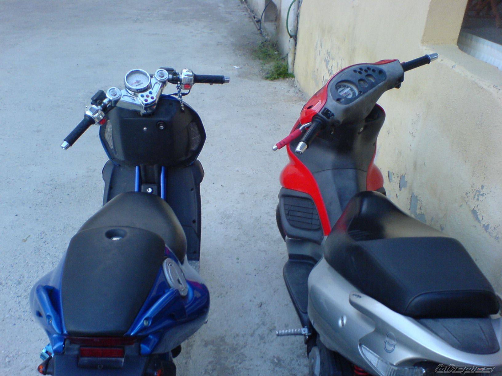 Photo 730766