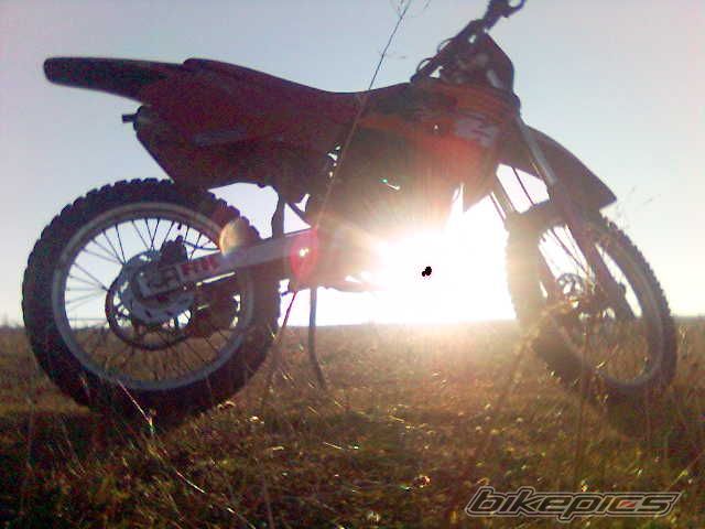 Photo 730813
