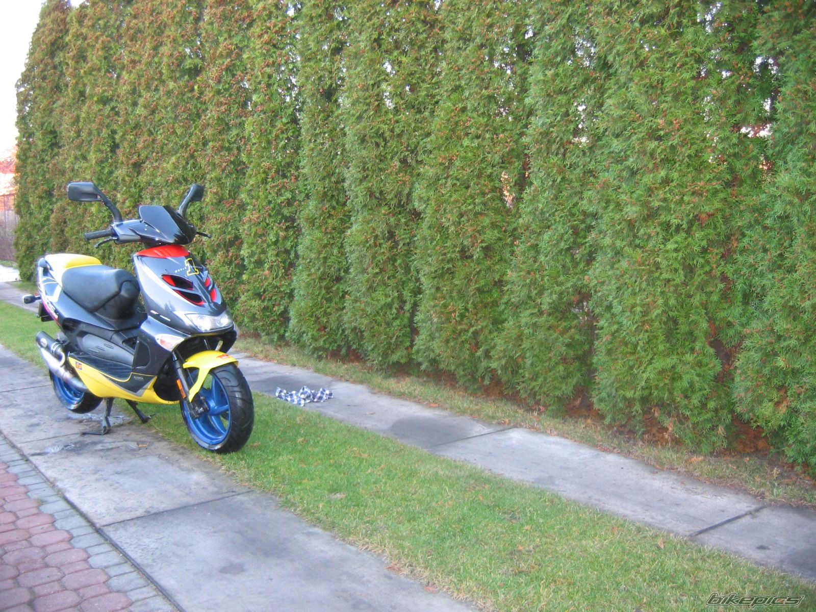 Photo 730925