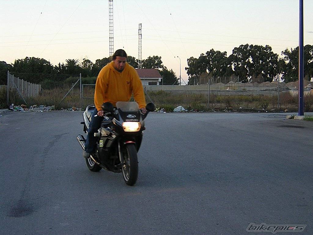 Photo 73101