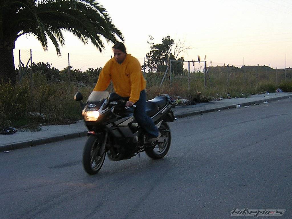Photo 73102