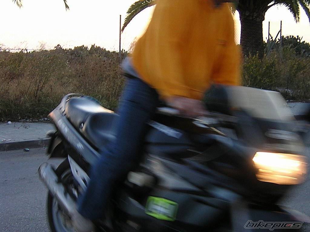 Photo 73103