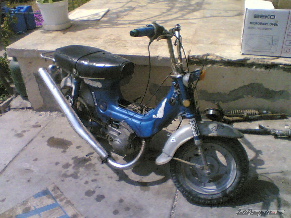 Photo 731238