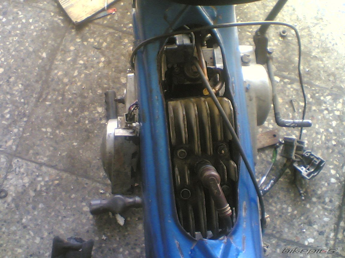 Photo 731240