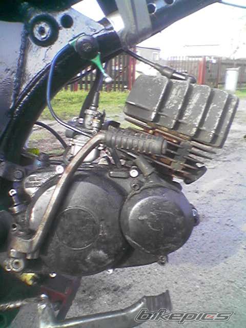 Photo 731350