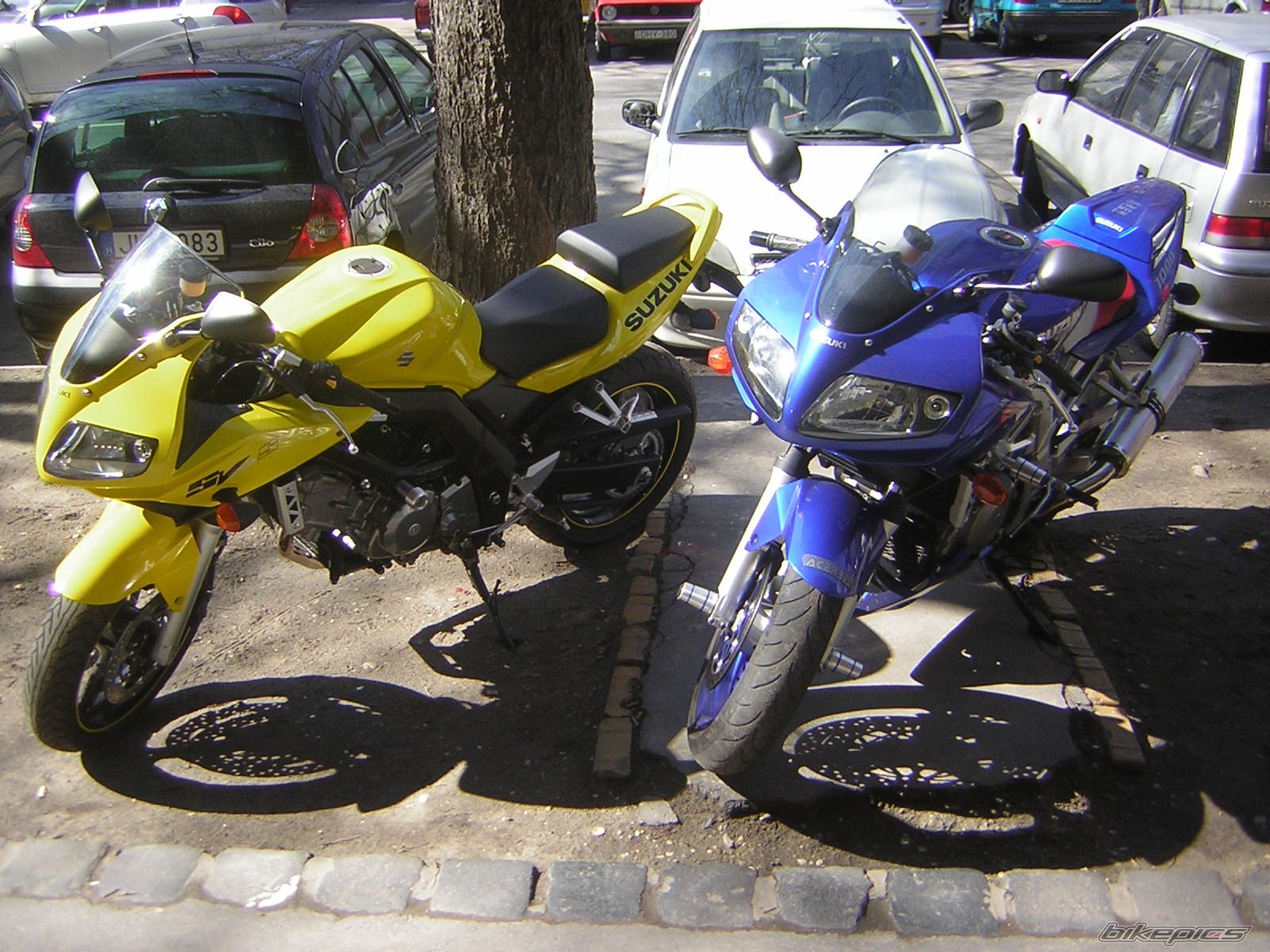 Photo 731351