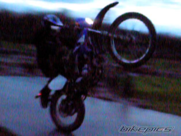 Photo 731425