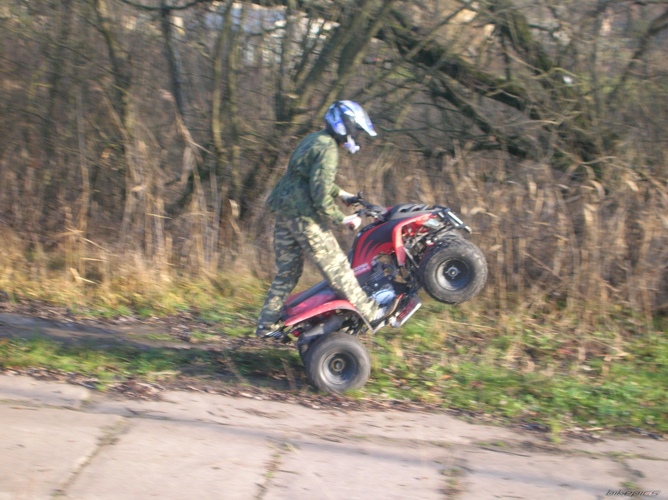 Photo 731433