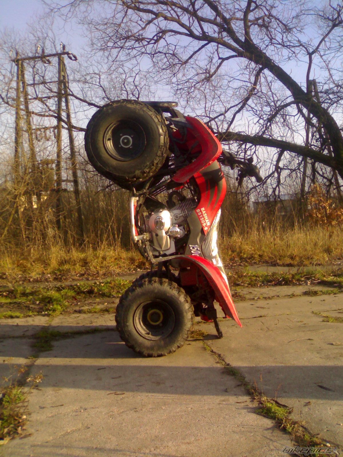 Photo 731435