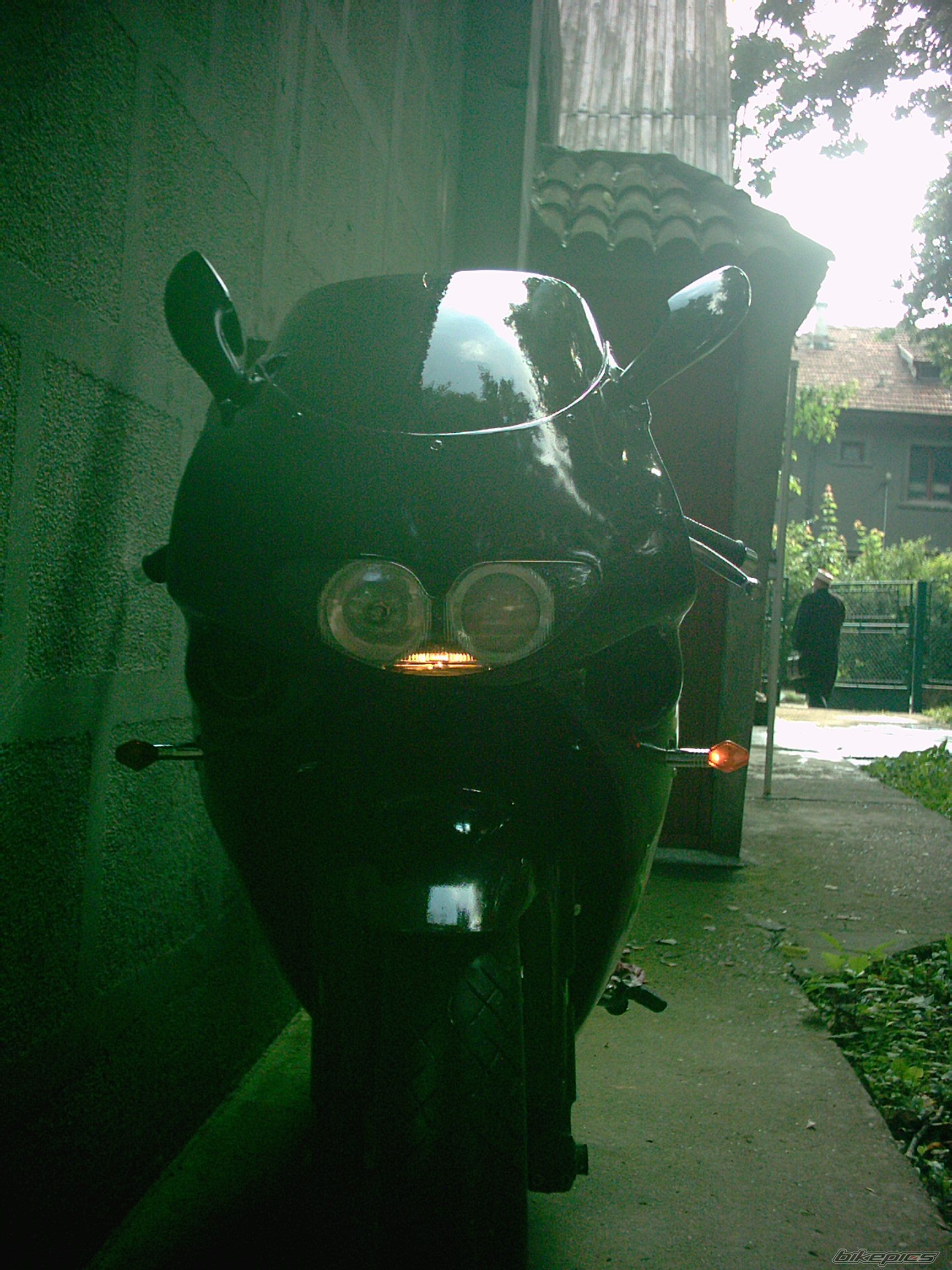 Photo 731537