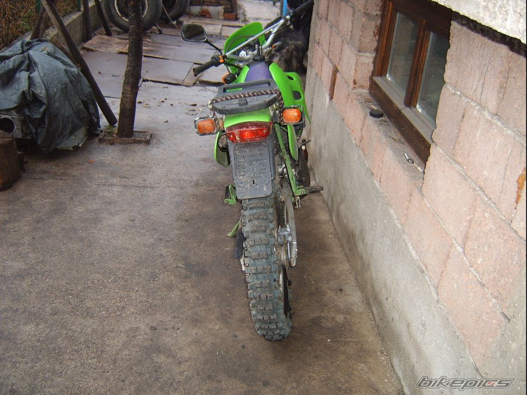 Photo 731603