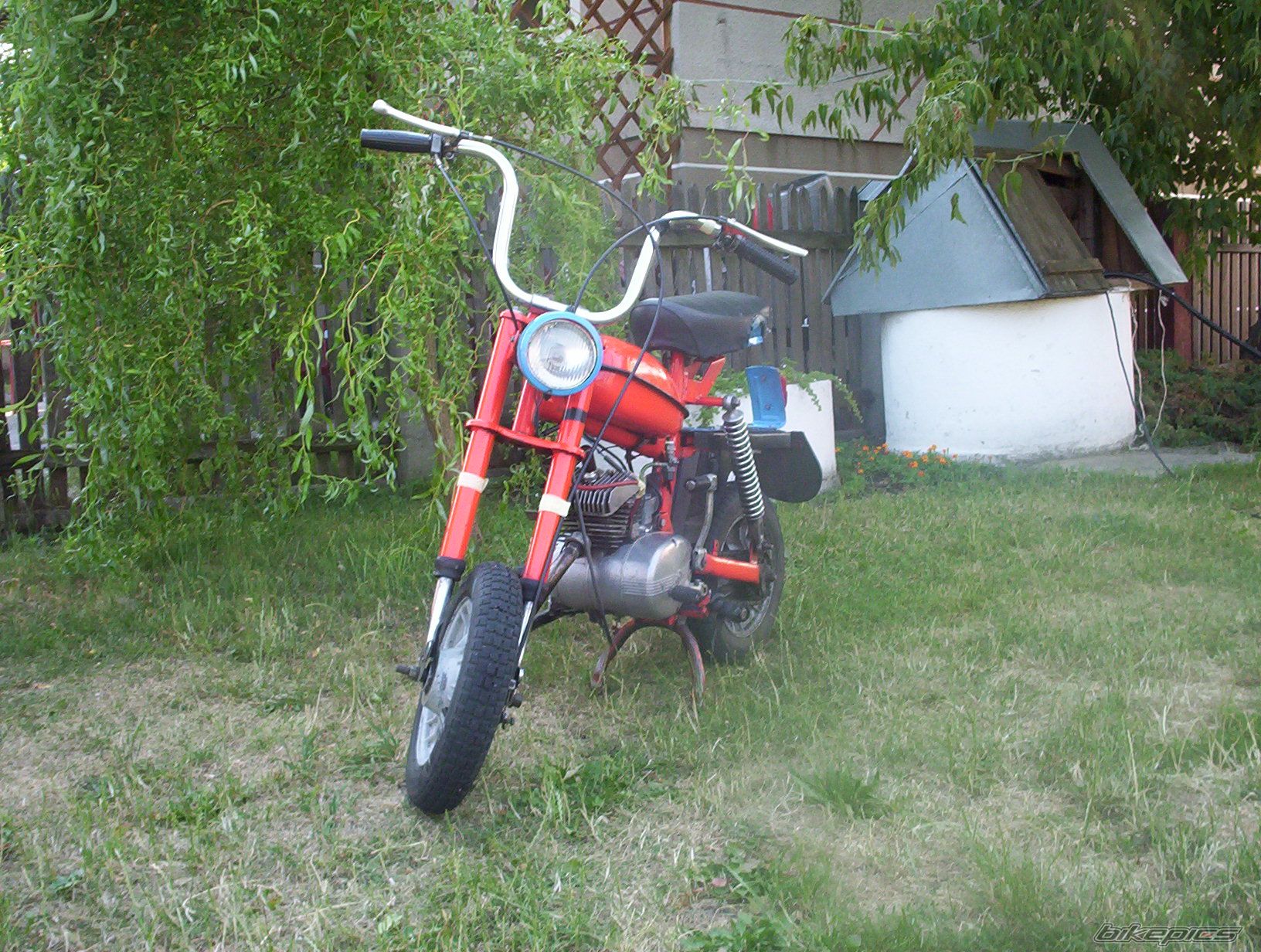 Photo 731625