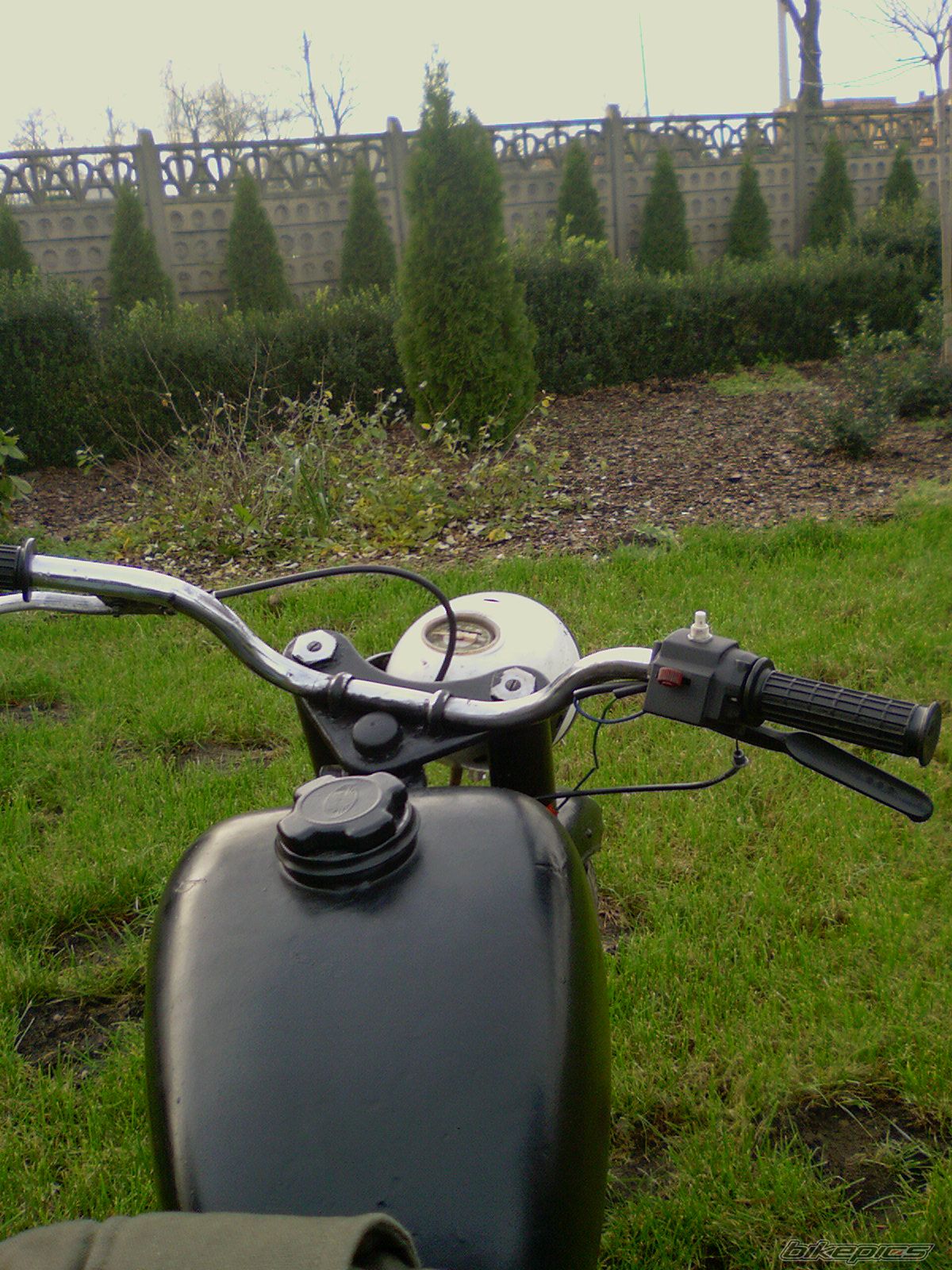 Photo 731662