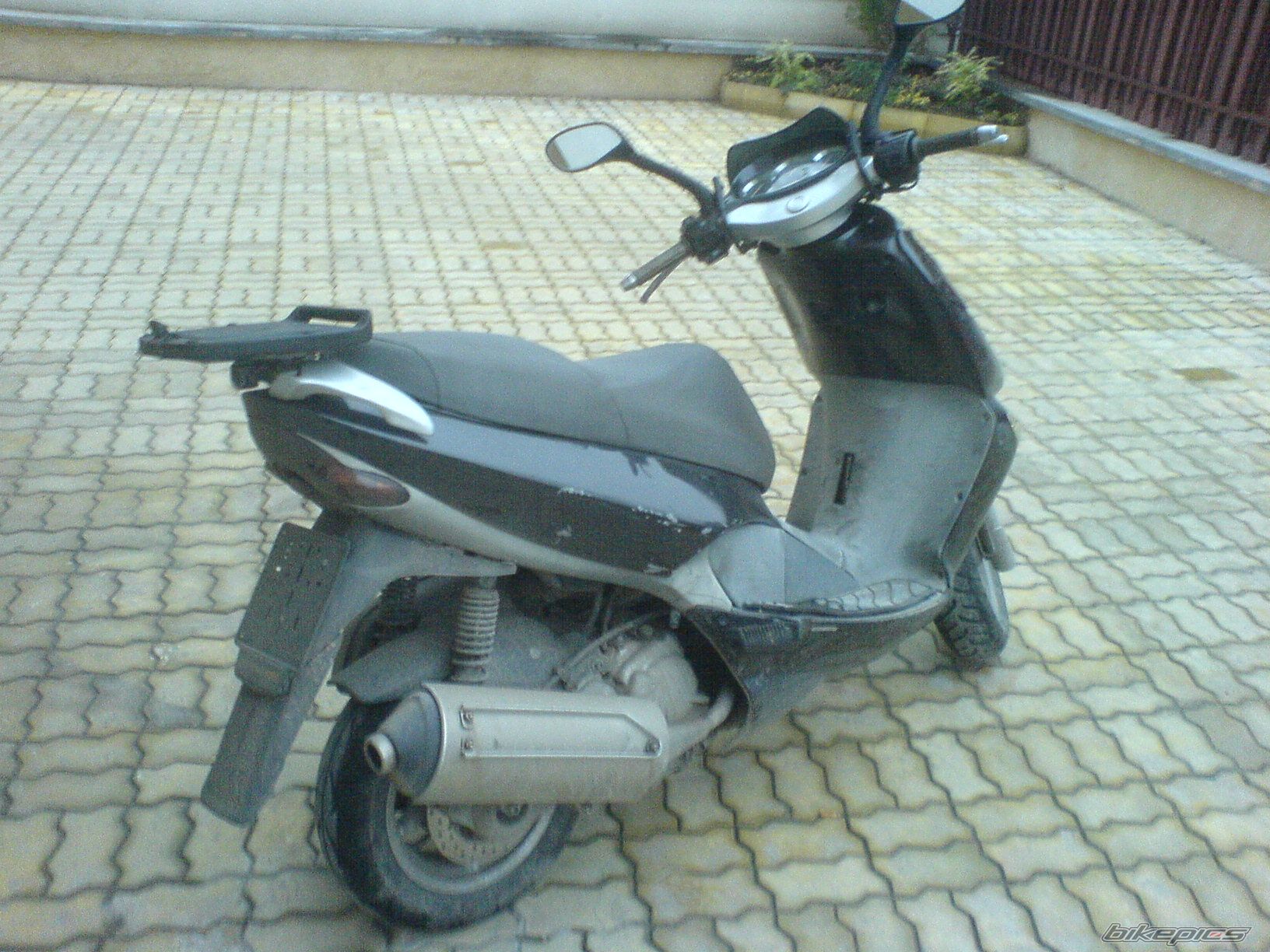 Photo 731673