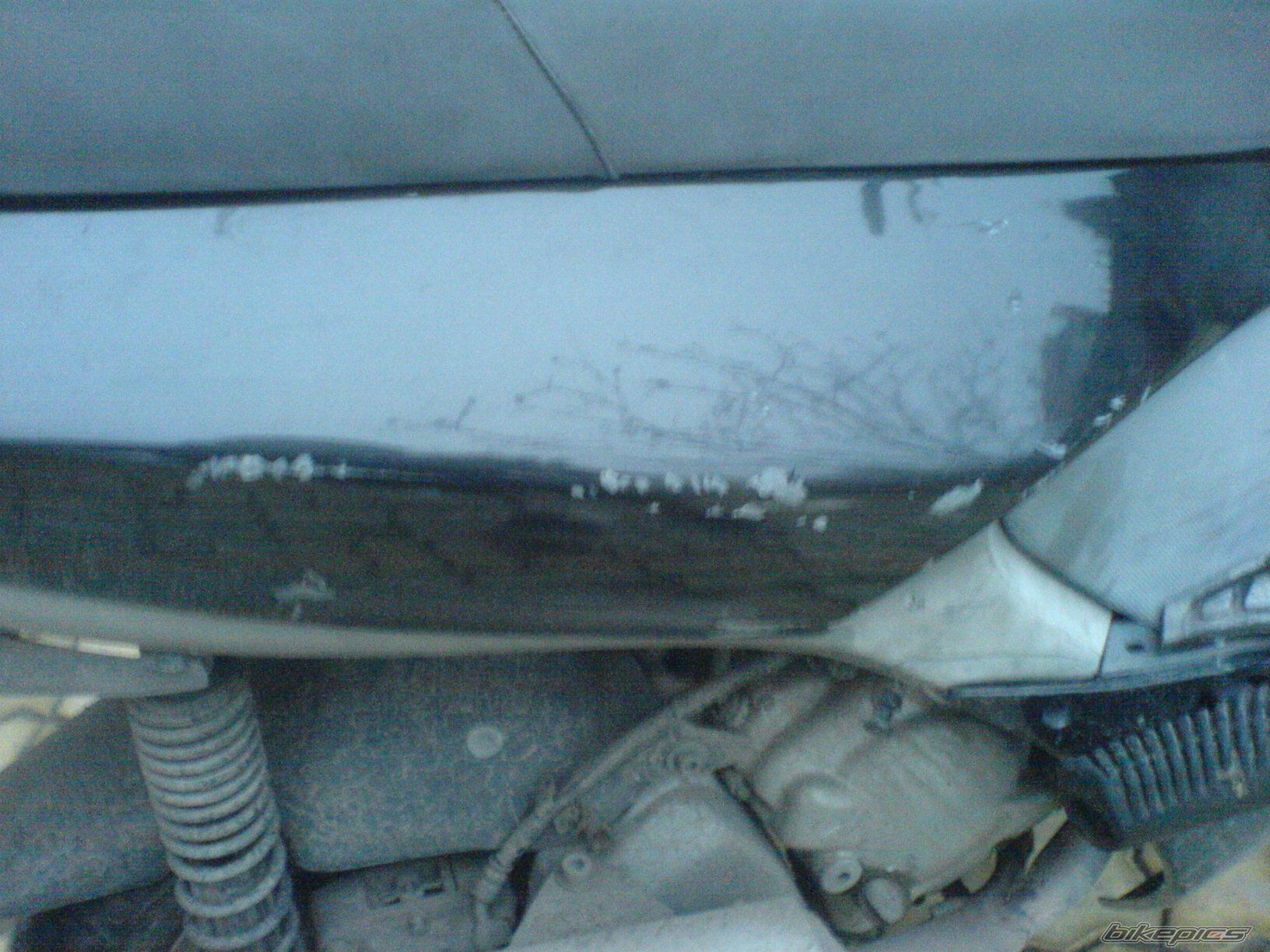 Photo 731682