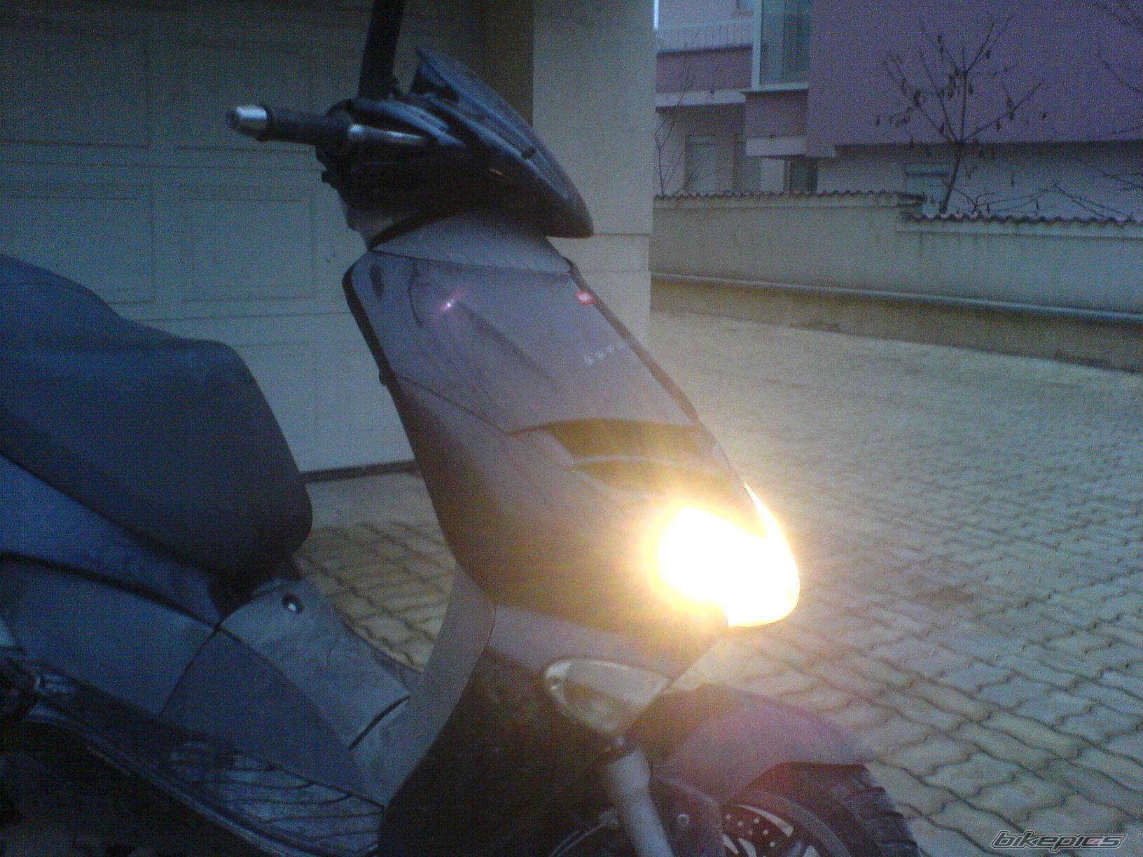 Photo 731703