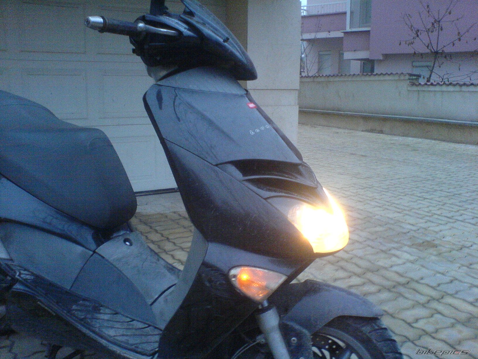 Photo 731704