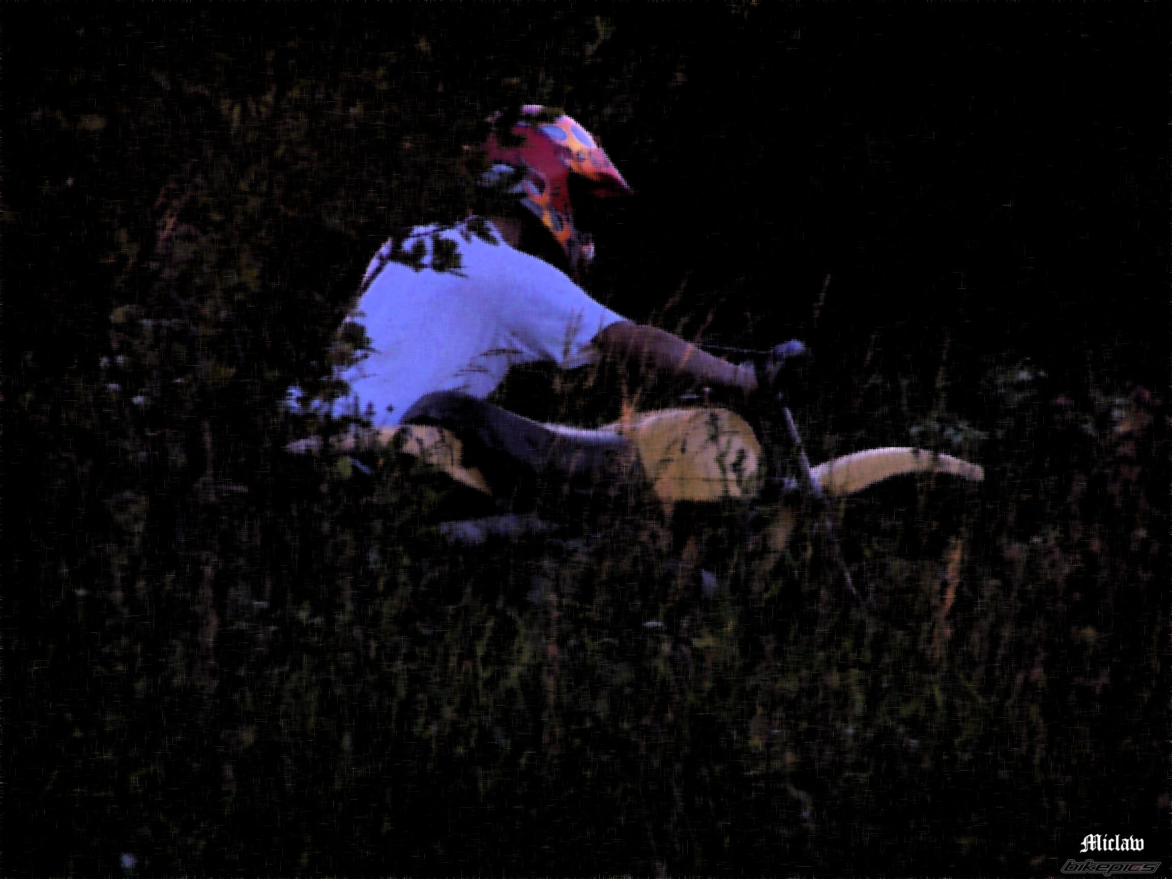 Photo 731795