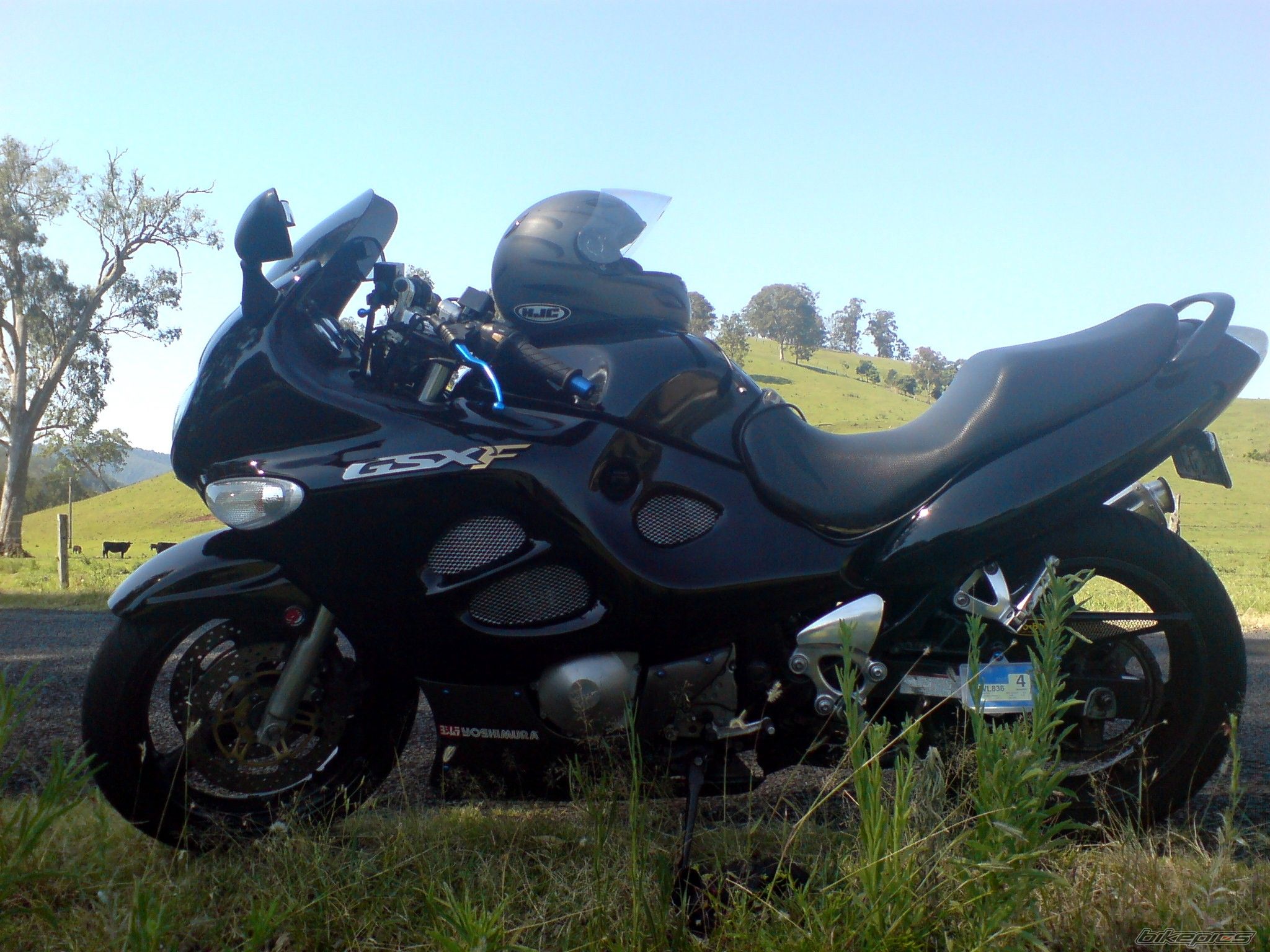 Photo 731822