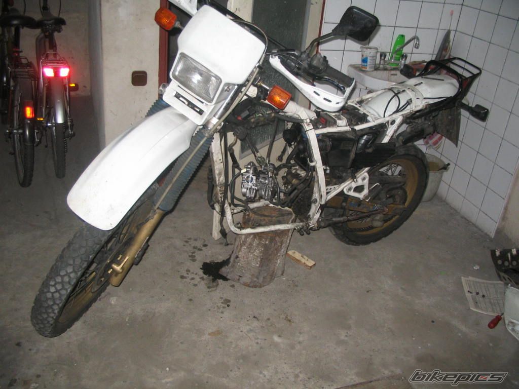 Photo 731887