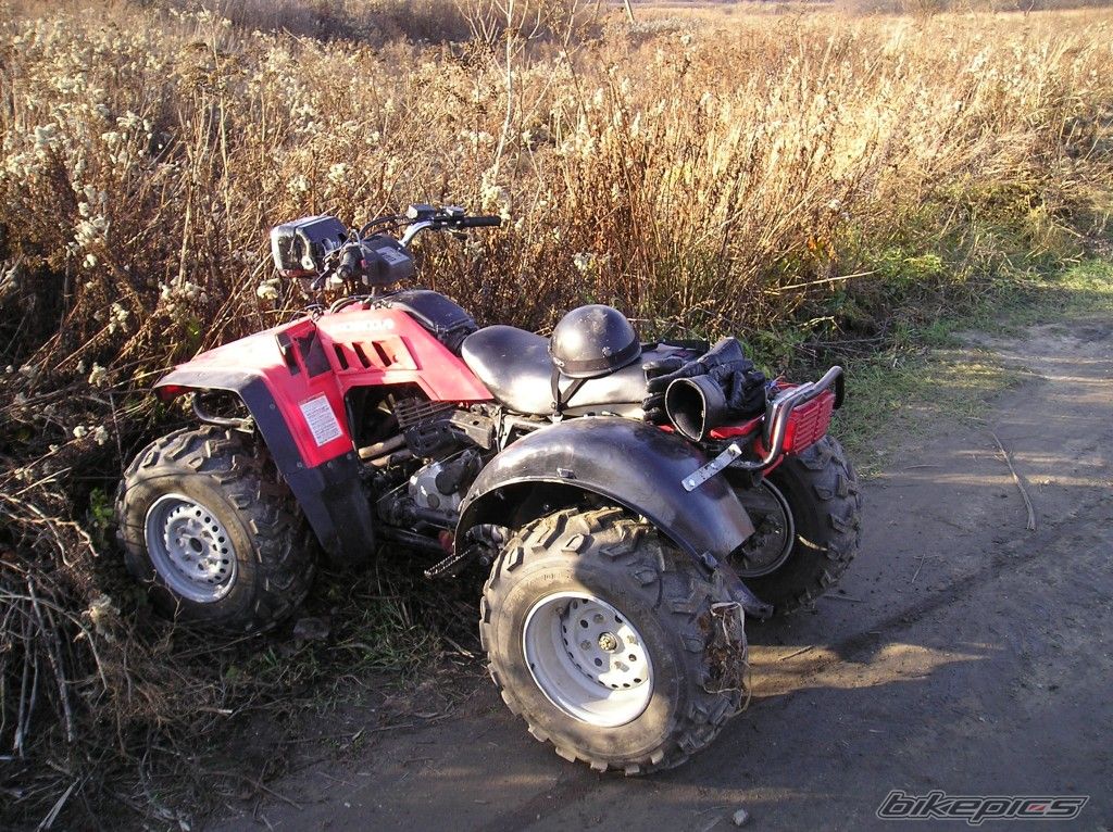 Photo 731932