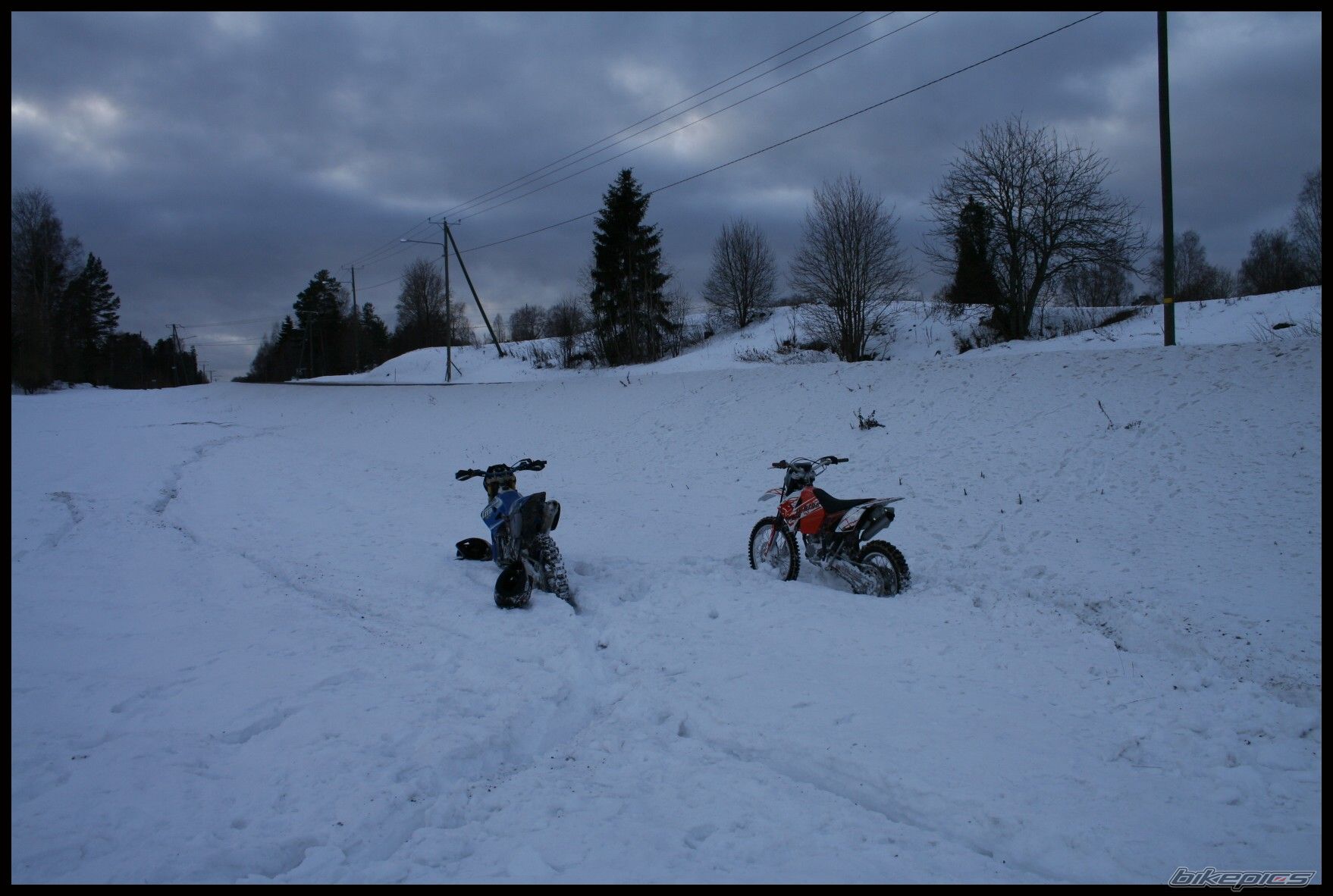 Photo 731972
