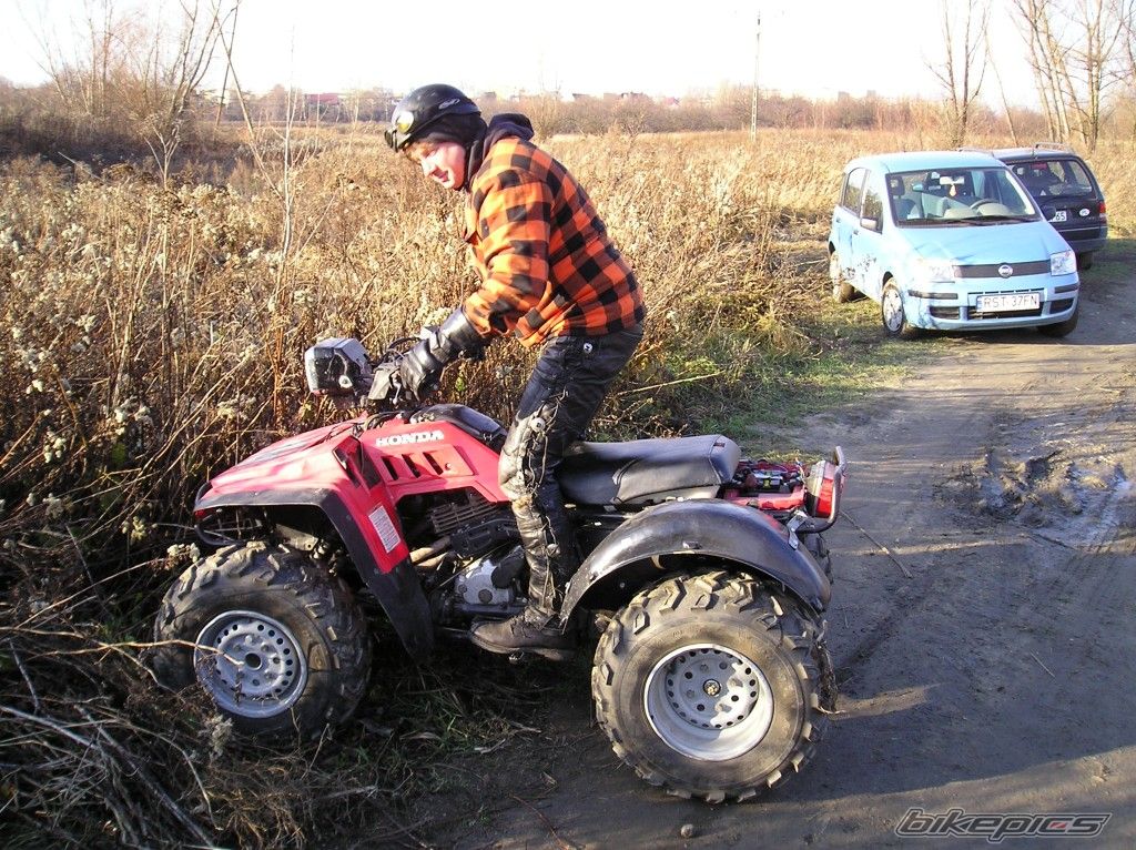 Photo 732073