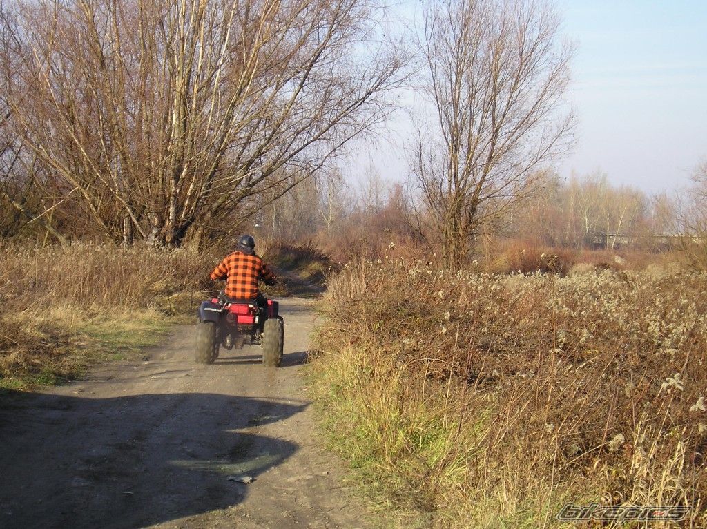 Photo 732078