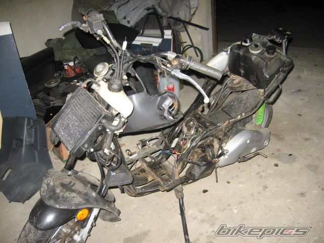 Photo 732100