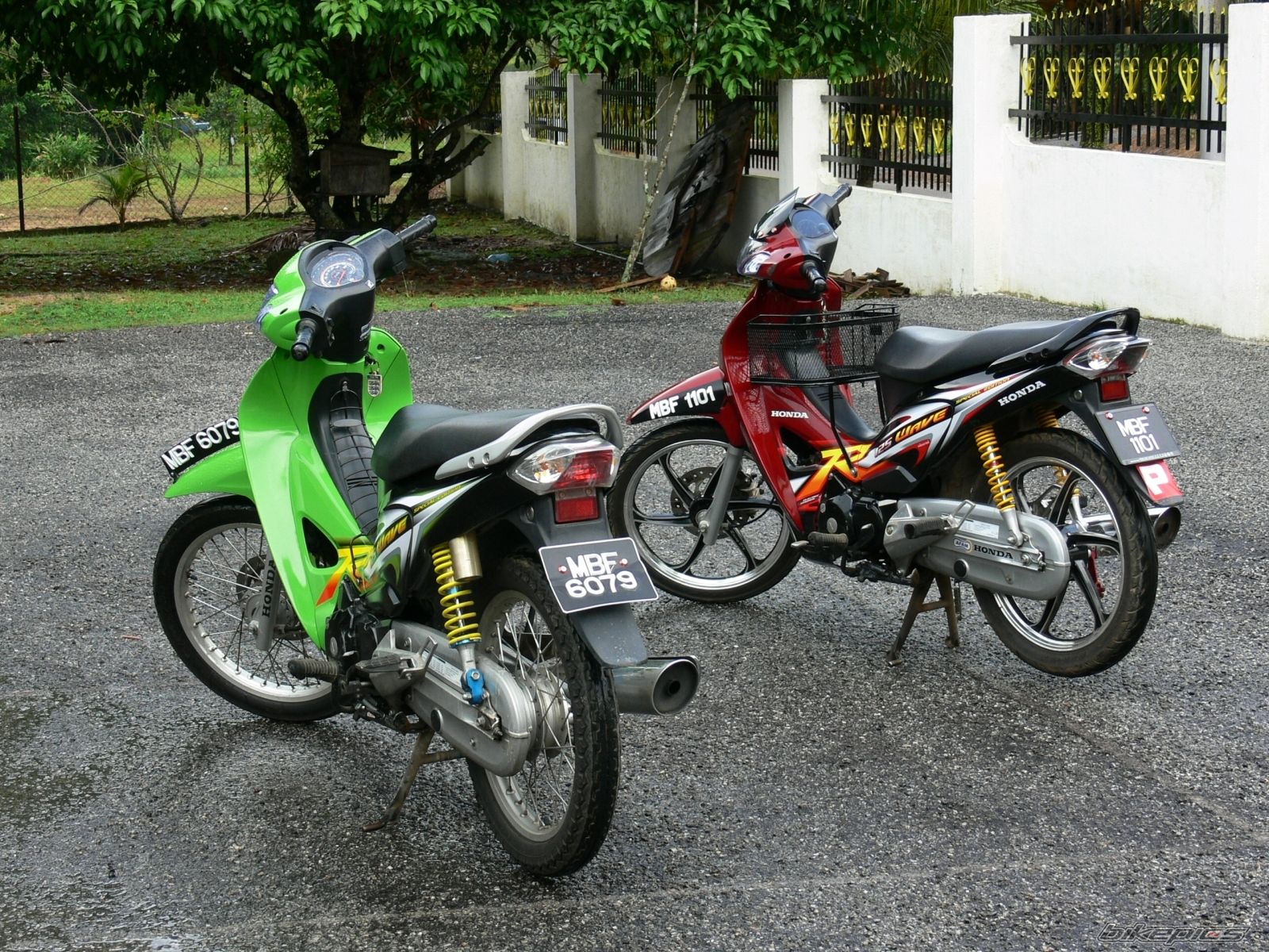 Photo 732136