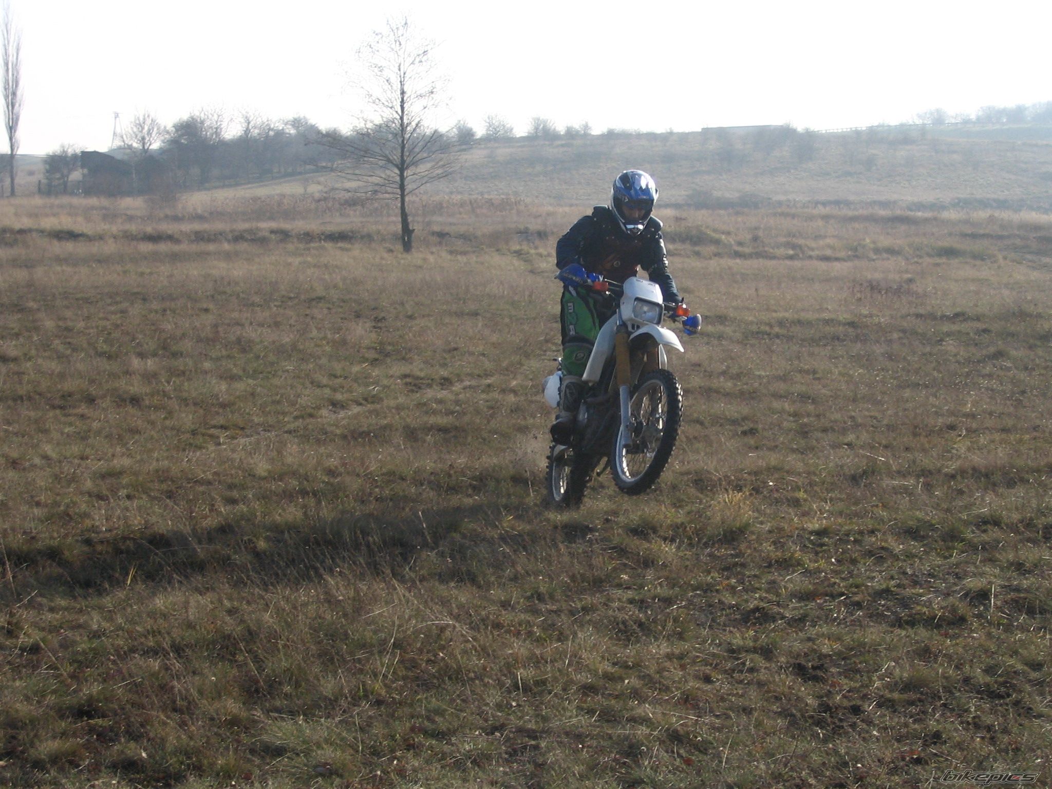Photo 732181