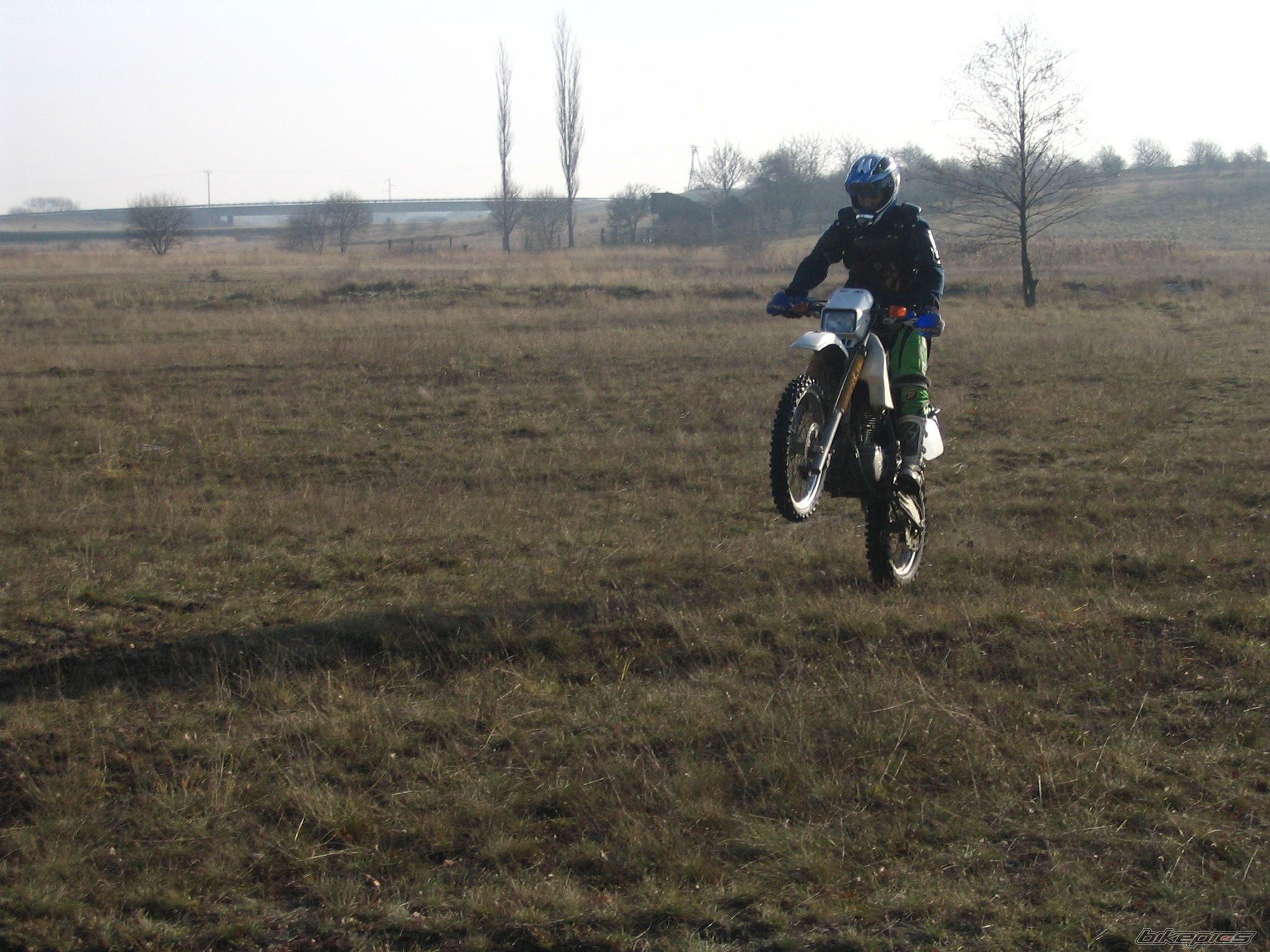 Photo 732185