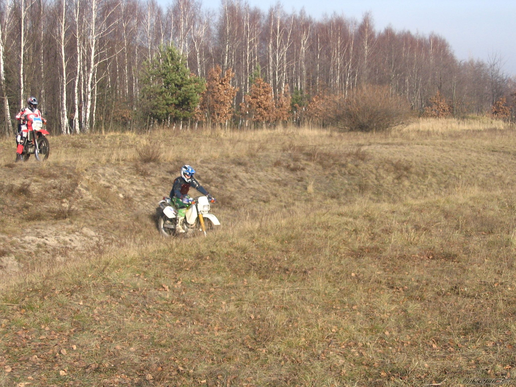 Photo 732190