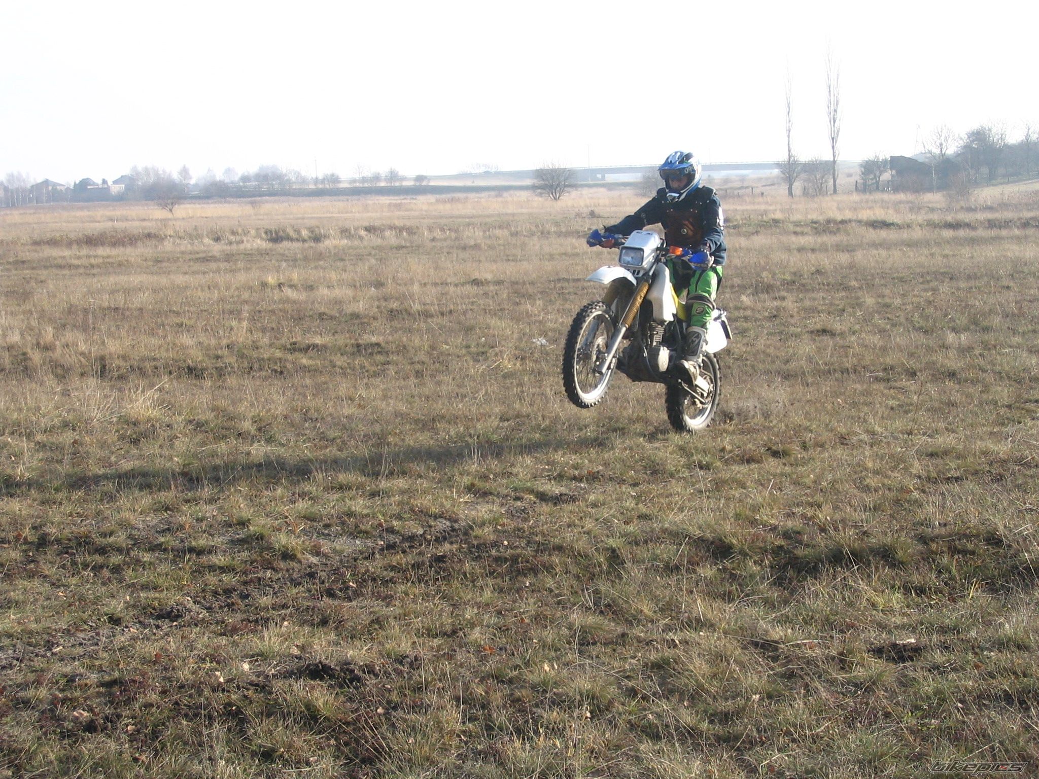 Photo 732192