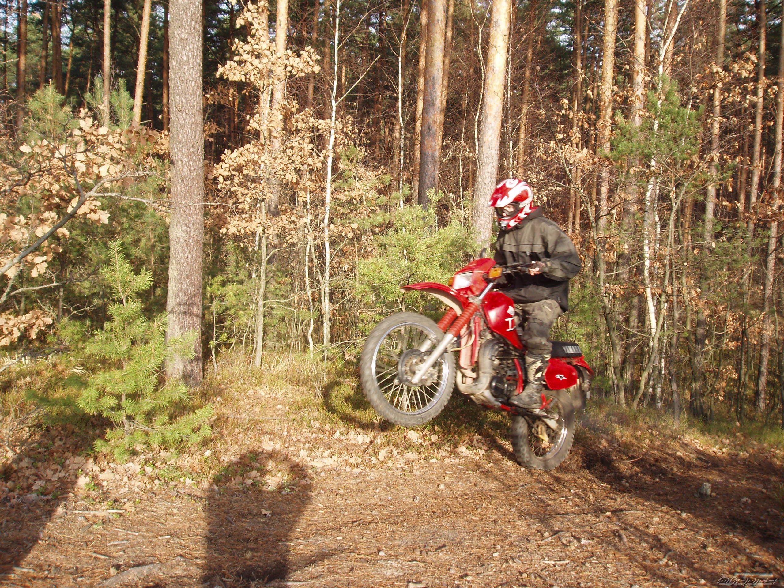 Bike Photo 732206