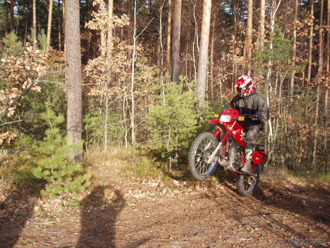 Bike Photo 732209