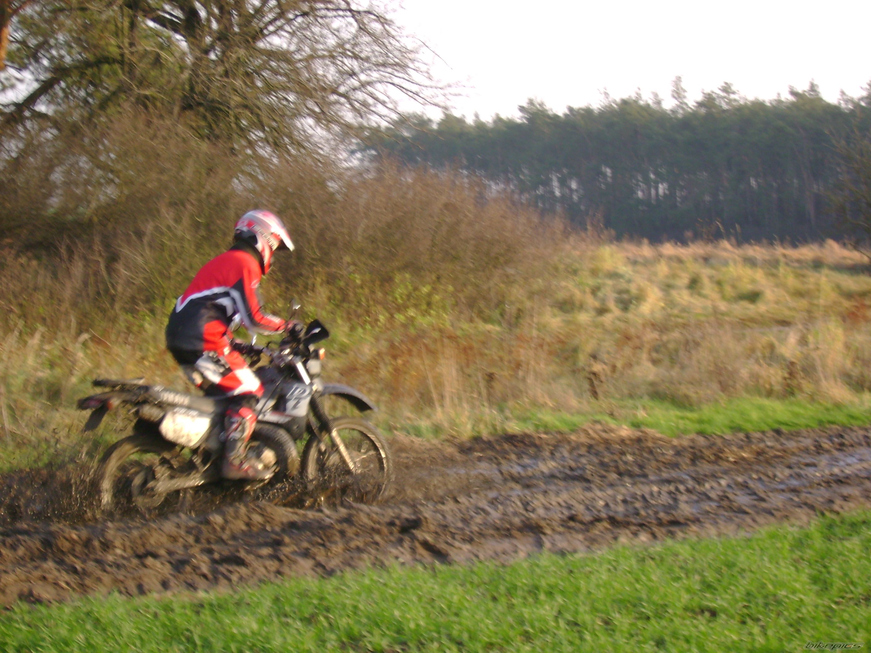 Bike Photo 732387