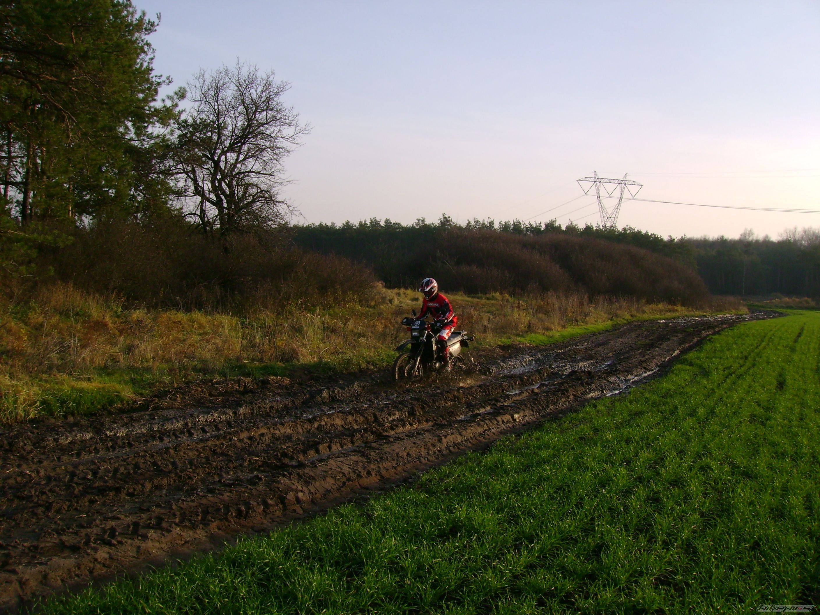 Bike Photo 732396
