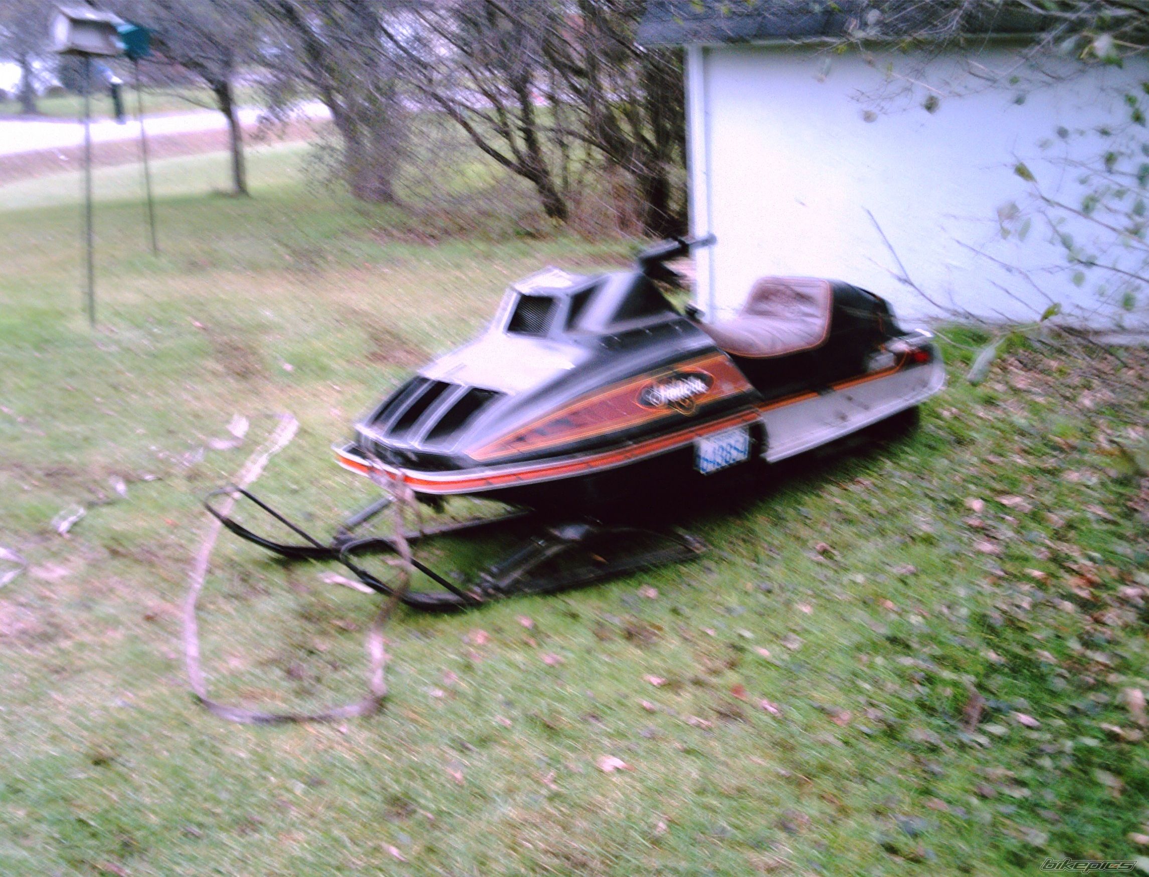 Photo 732405
