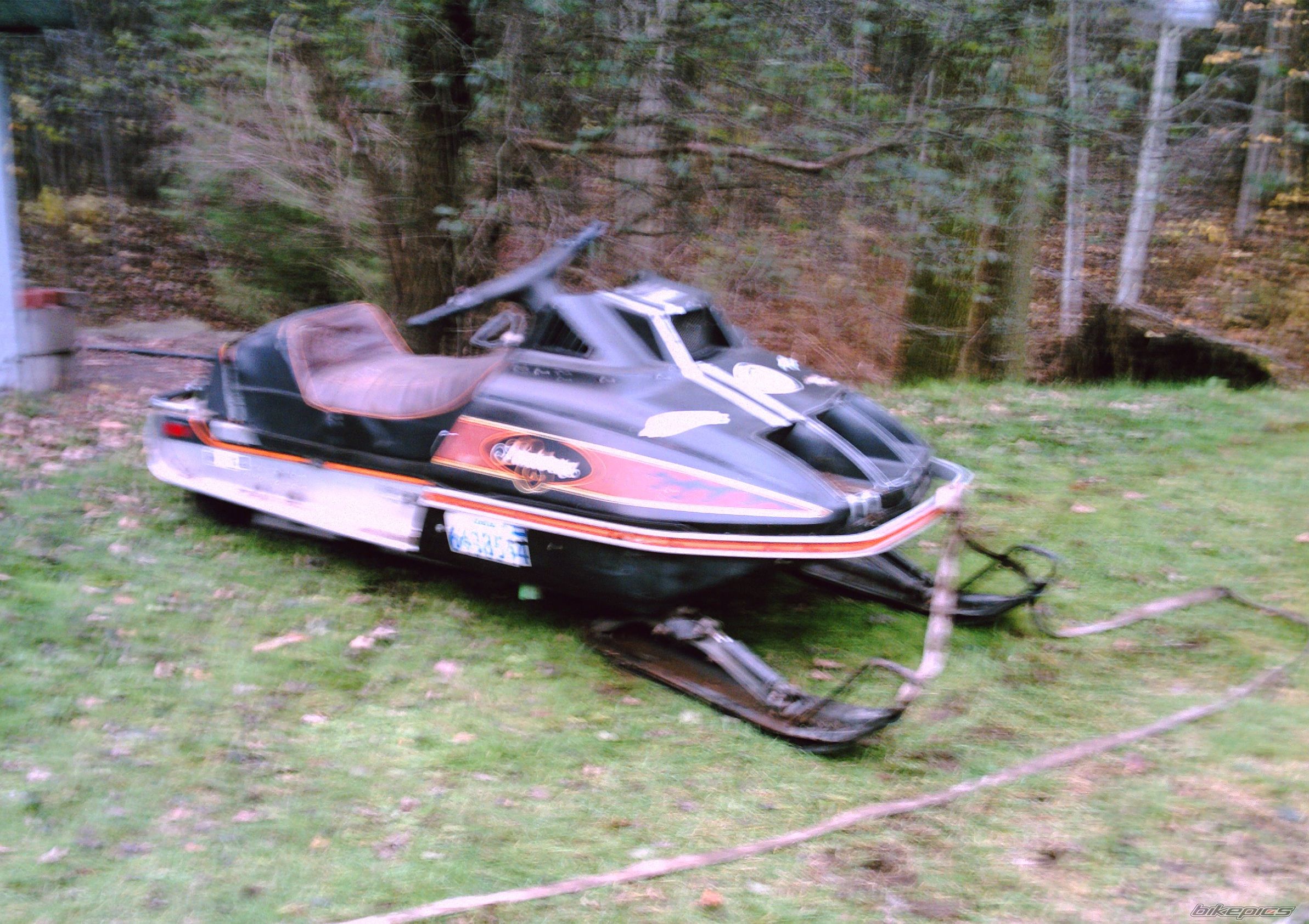 Photo 732408