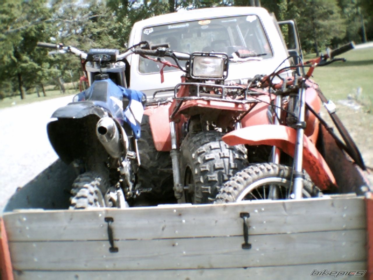 Photo 732411